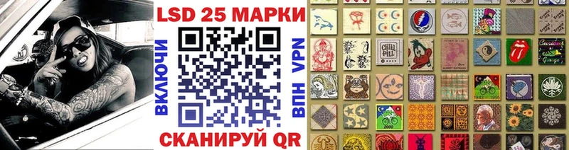 закладка  Зима  Марки N-bome 1,8мг 