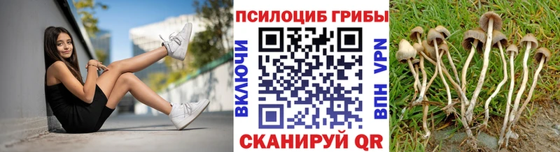 Псилоцибиновые грибы Psilocybine cubensis  Зима 